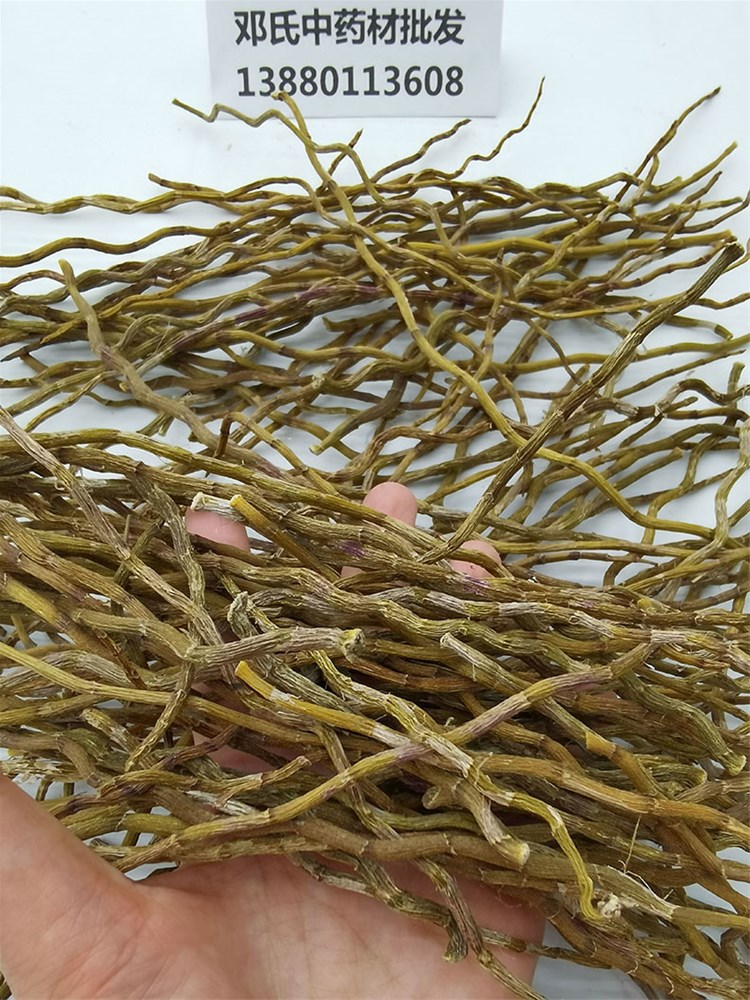 铁皮石斛_07.jpg