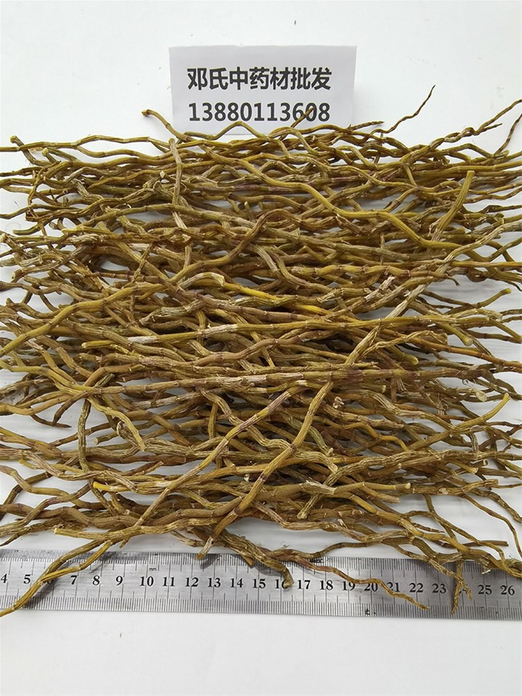铁皮石斛_05.jpg