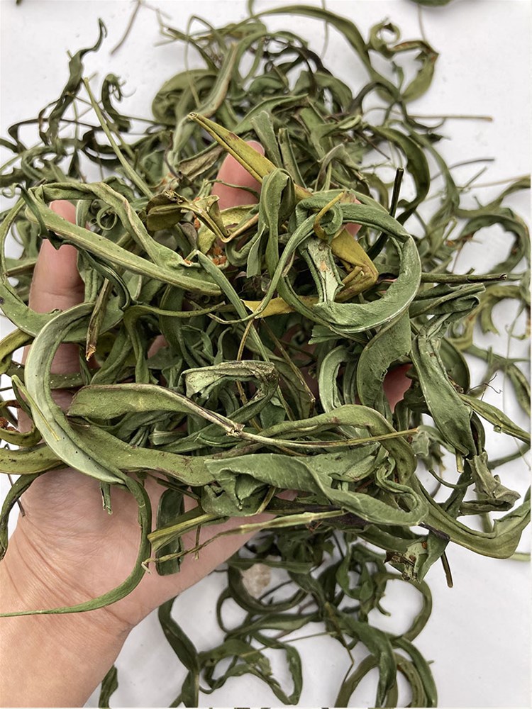 化石草_05.jpg
