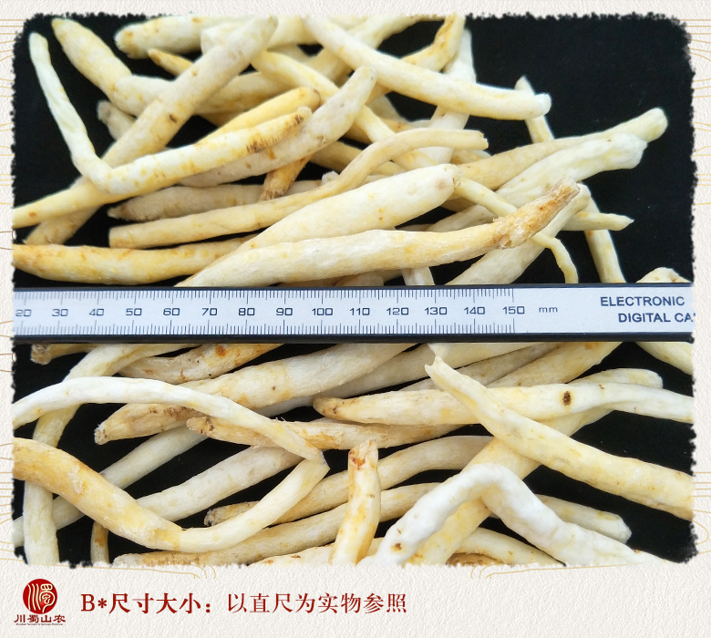 cstcssnchuanmingshengezitonghuo09.jpg