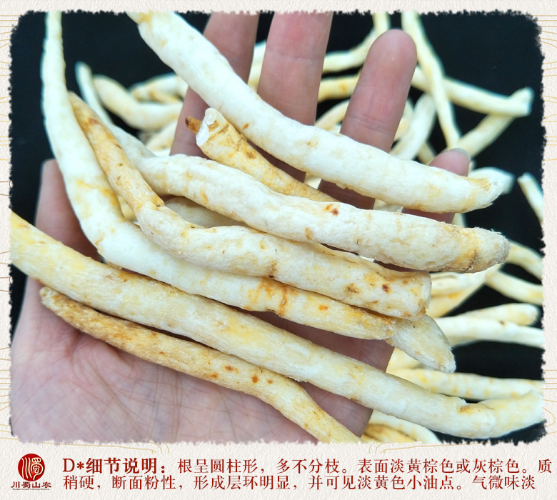 cstcssnchuanmingshengezitonghuo011.jpg