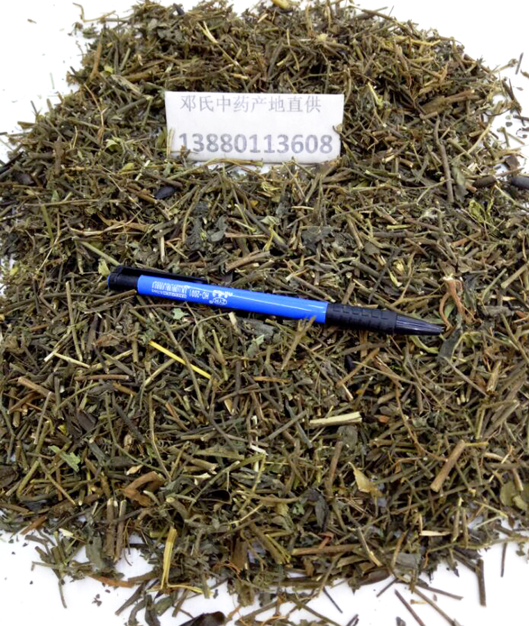 xianglingcaoal011.jpg