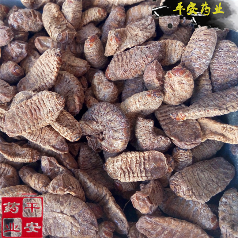 蛴螬80宇~0_副本.jpg