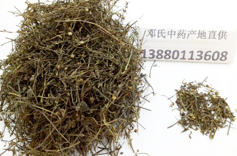 baihuesheshecaoal011.jpg
