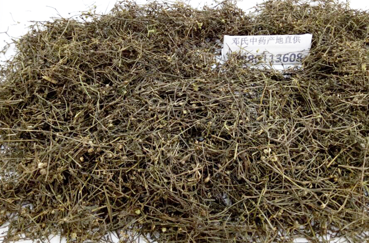 baihuesheshecaoal013.jpg
