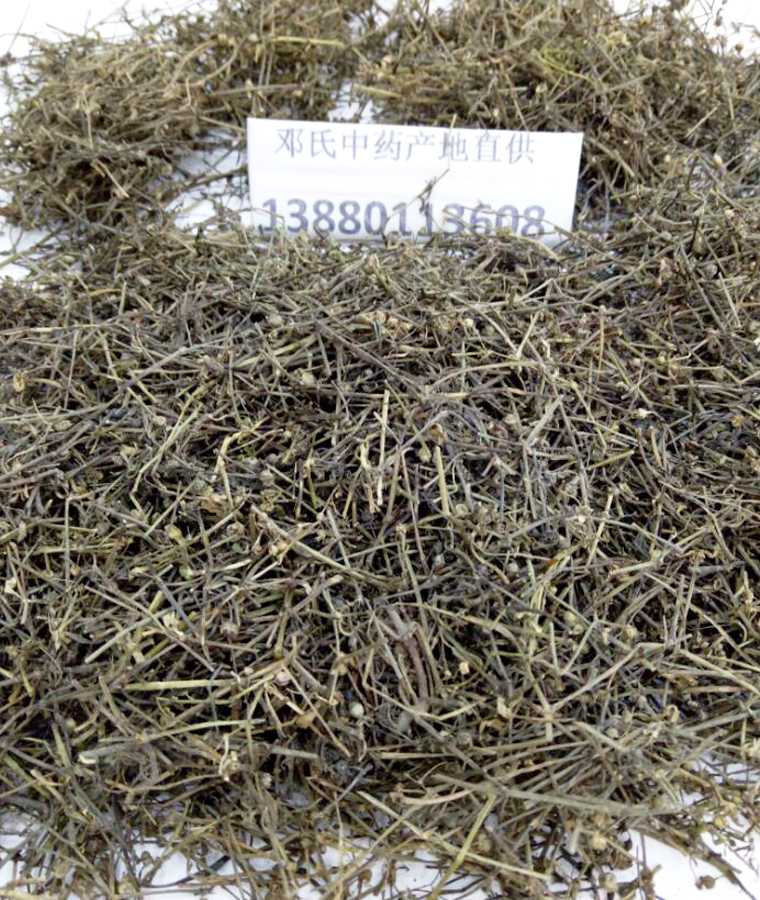 baihuesheshecaoal08.jpg