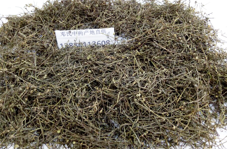 baihuesheshecaoal012.jpg