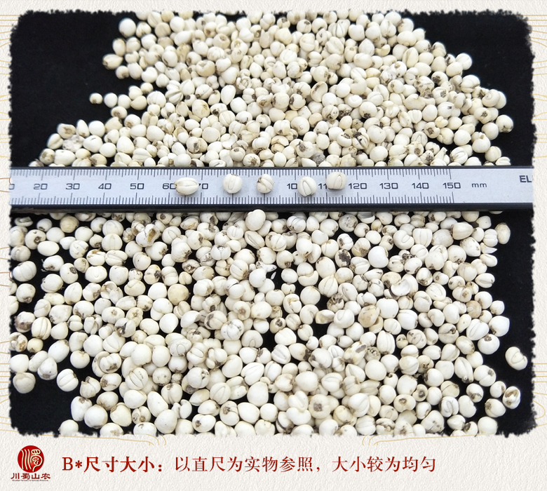 cstcssnchuanbeimuxiaoli09.jpg