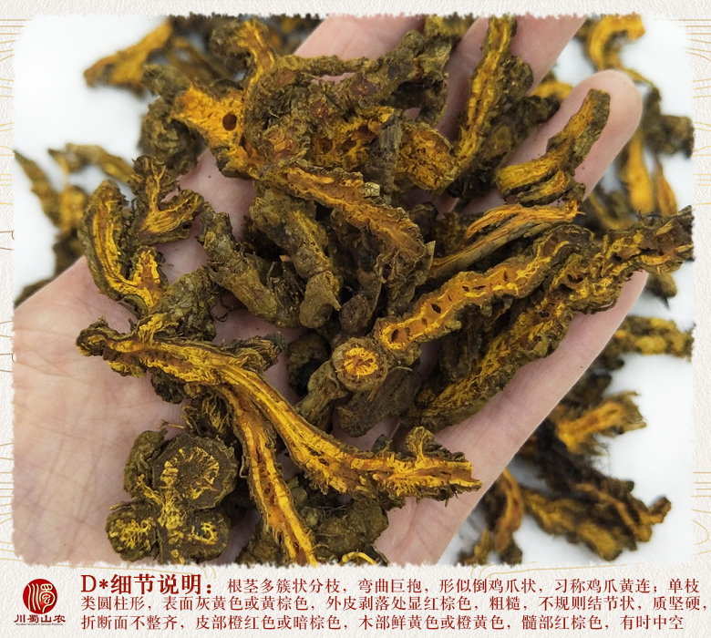 cstcssnhuanglianqiepiantonghuo011.jpg