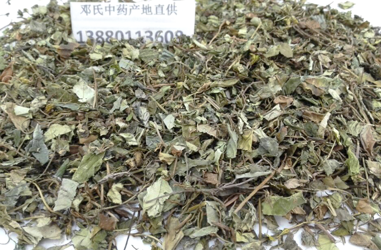 jinqiancaoal011.jpg