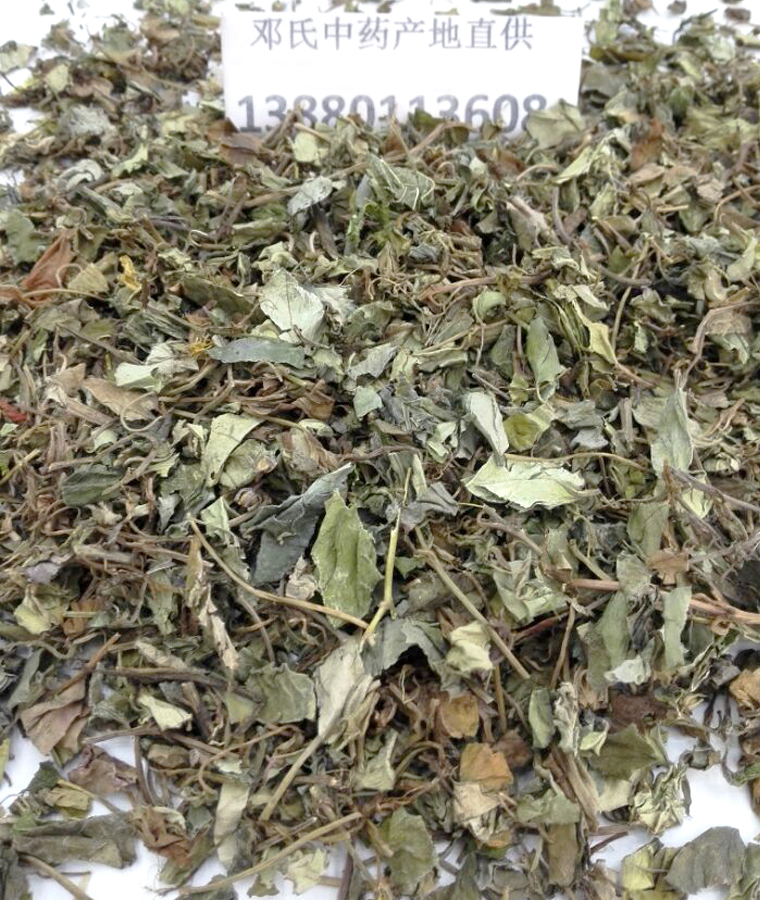jinqiancaoal08.jpg