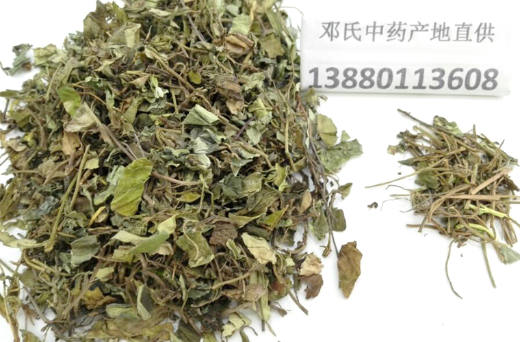 jinqiancaoal012.jpg