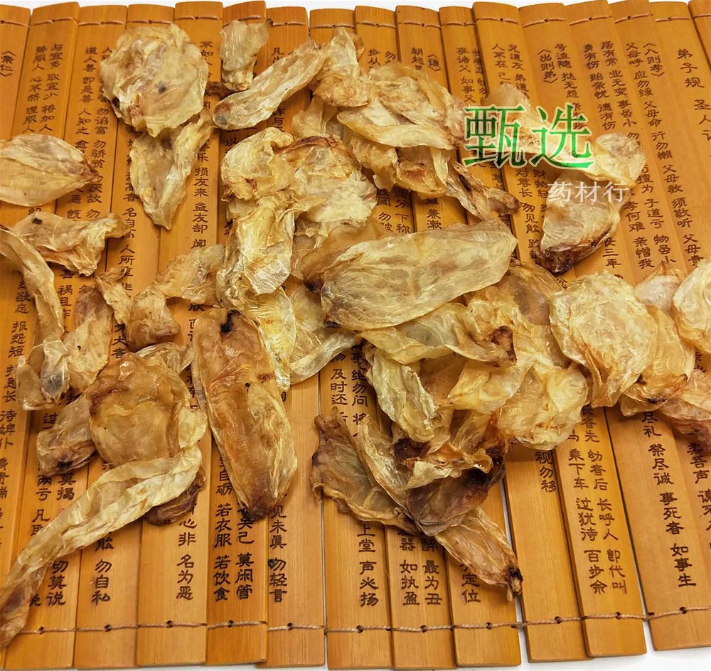 鱼漂蛸水印8.jpg