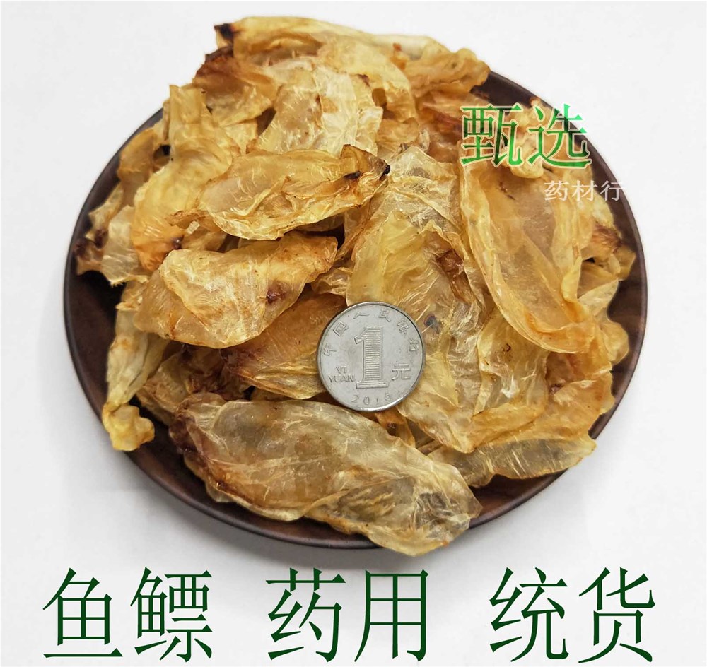 鱼漂蛸水印1.jpg