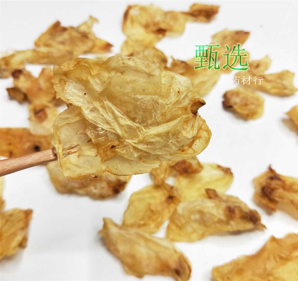 鱼漂蛸水印7.jpg
