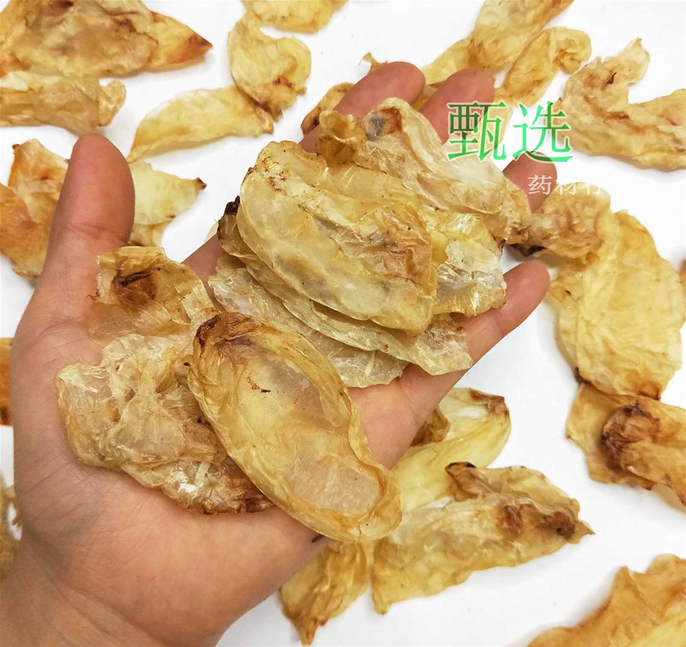 鱼漂蛸水印6.jpg