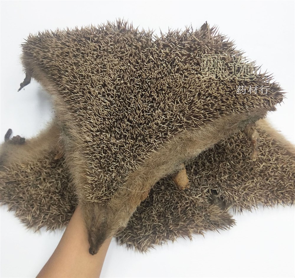 刺猬皮整块选货水印5.jpg