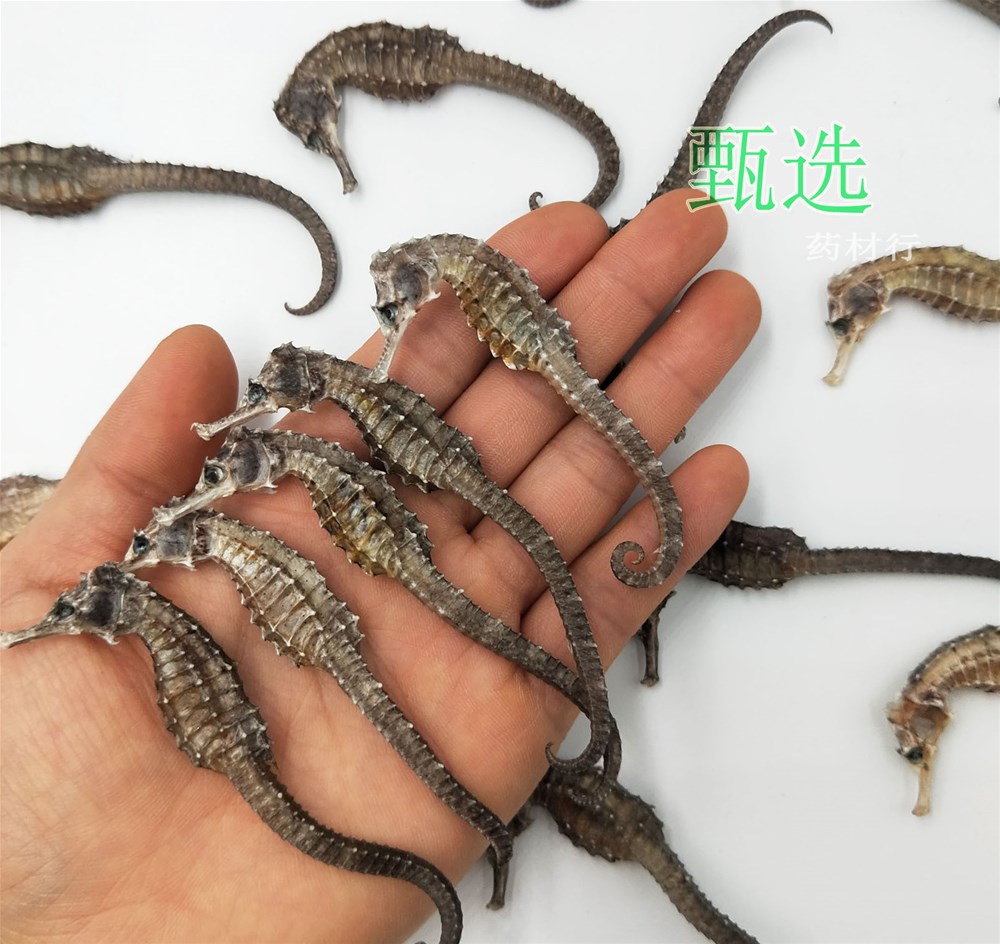 海马全清水1克水印6.jpg