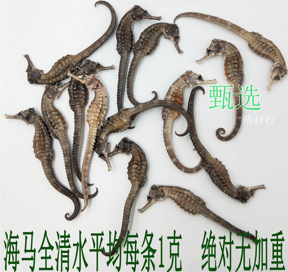 海马全清水1克水印1.jpg