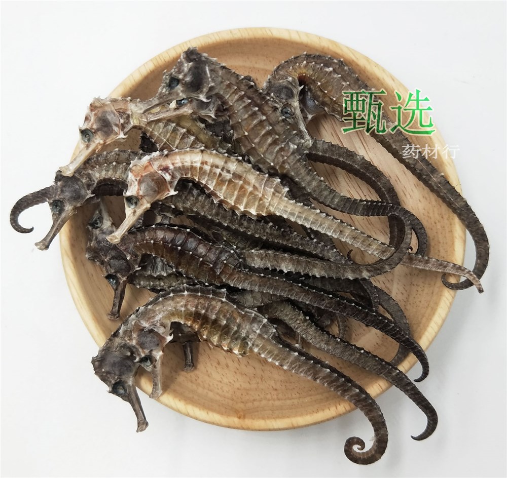 海马全清水1克水印2.jpg