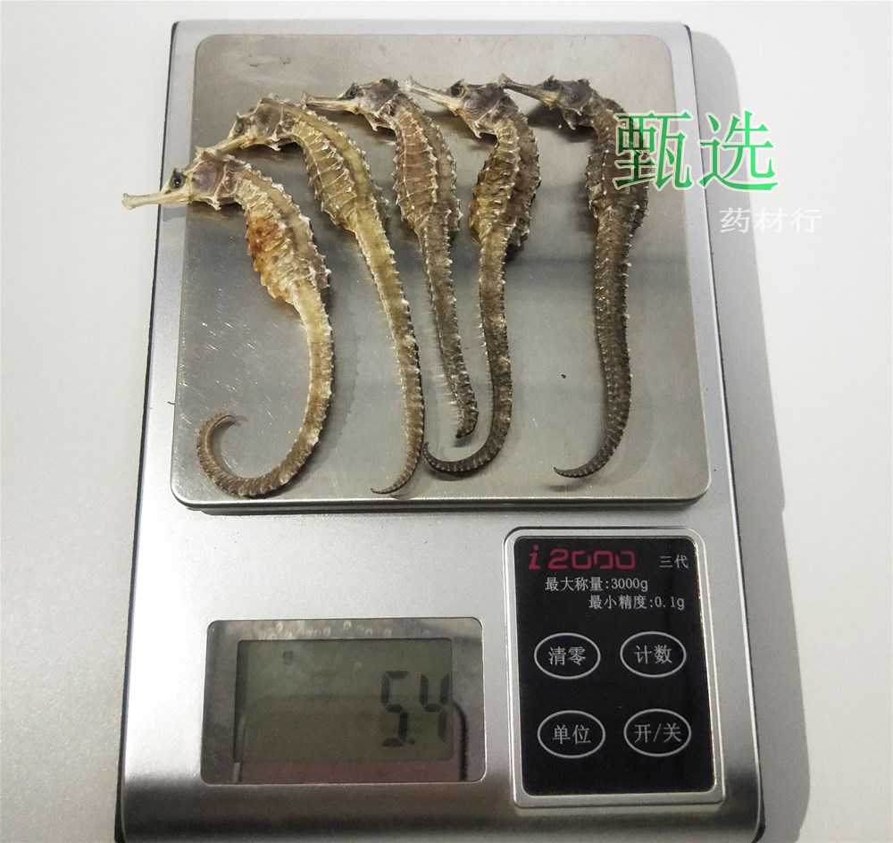 海马全清水1克水印9.jpg