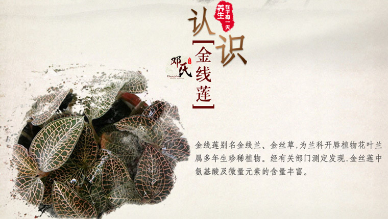 jinxianjing01021.jpg