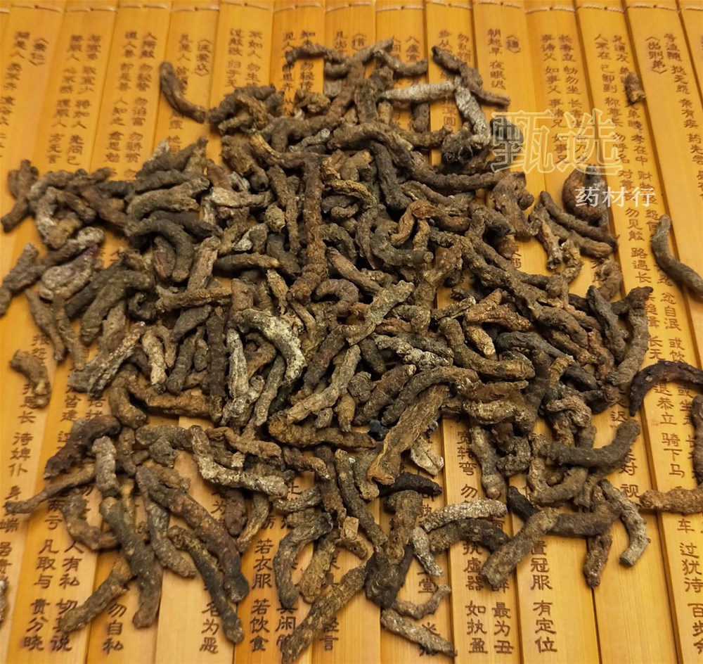 制僵蚕水印7.jpg