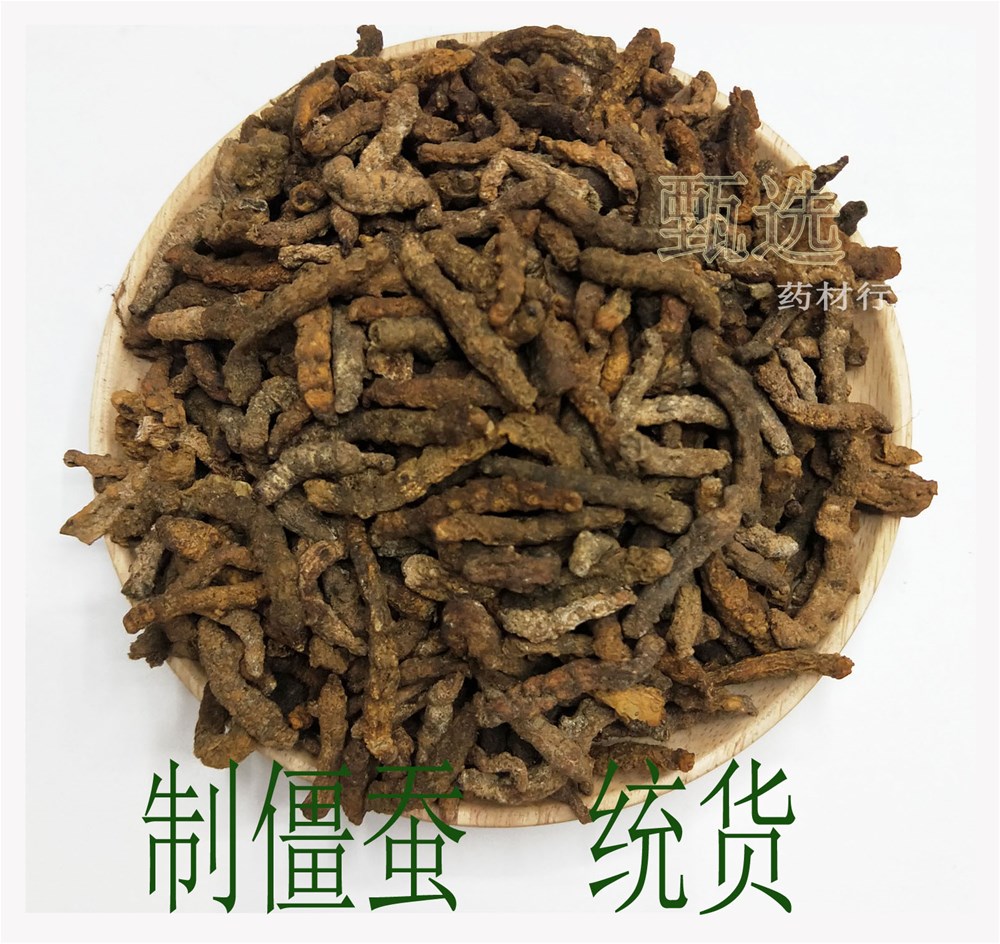 制僵蚕水印1.jpg