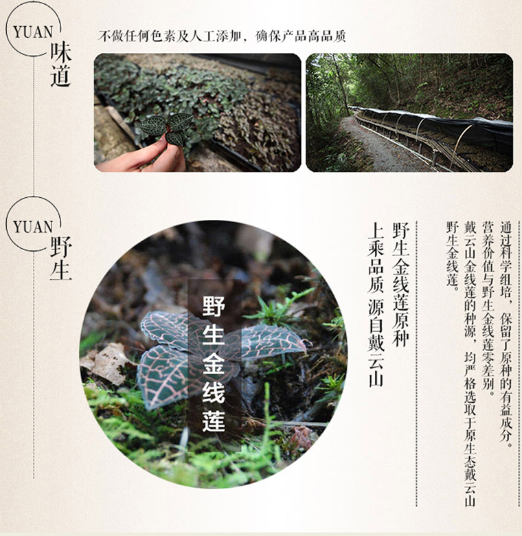 jinxianjing097.jpg