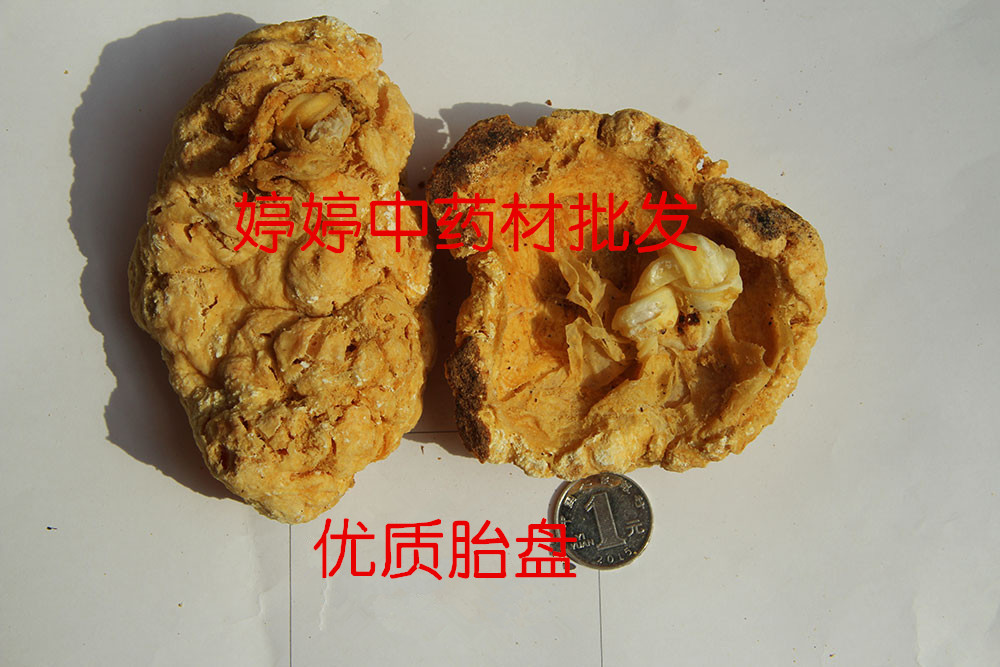 tp_副本.jpg
