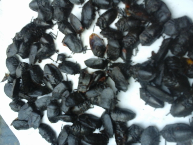 20150519_105526.jpg