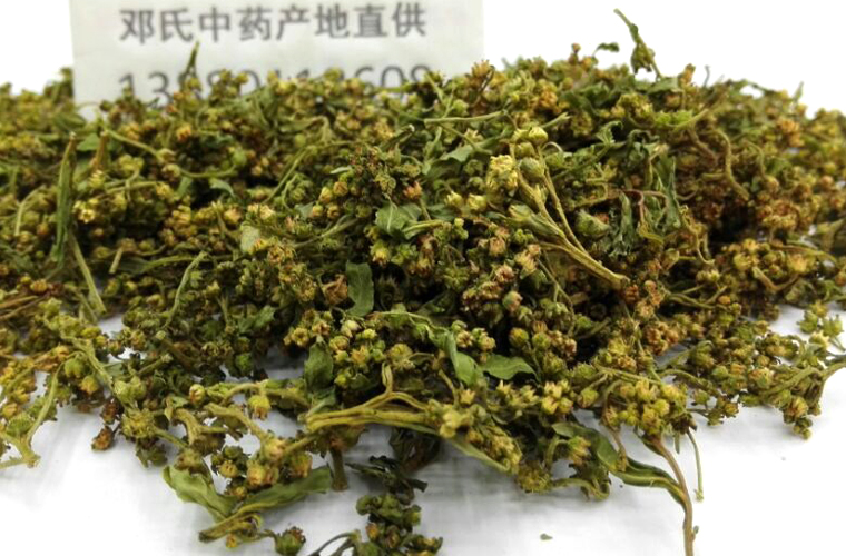 ganhuangcaohuaal011.jpg
