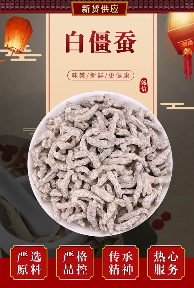 僵蚕11.jpg