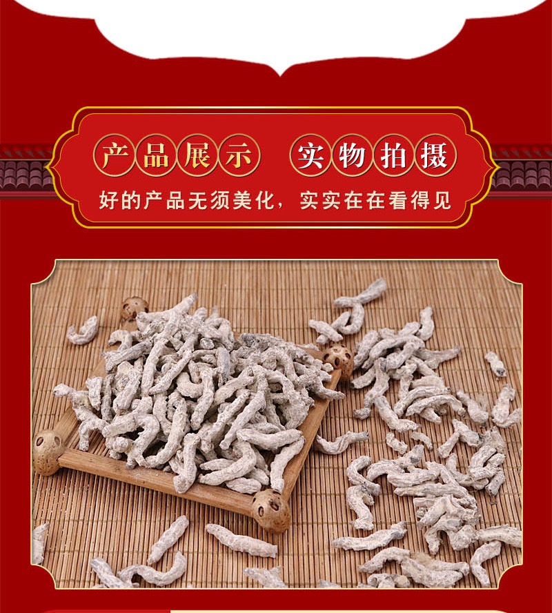 僵蚕16.jpg