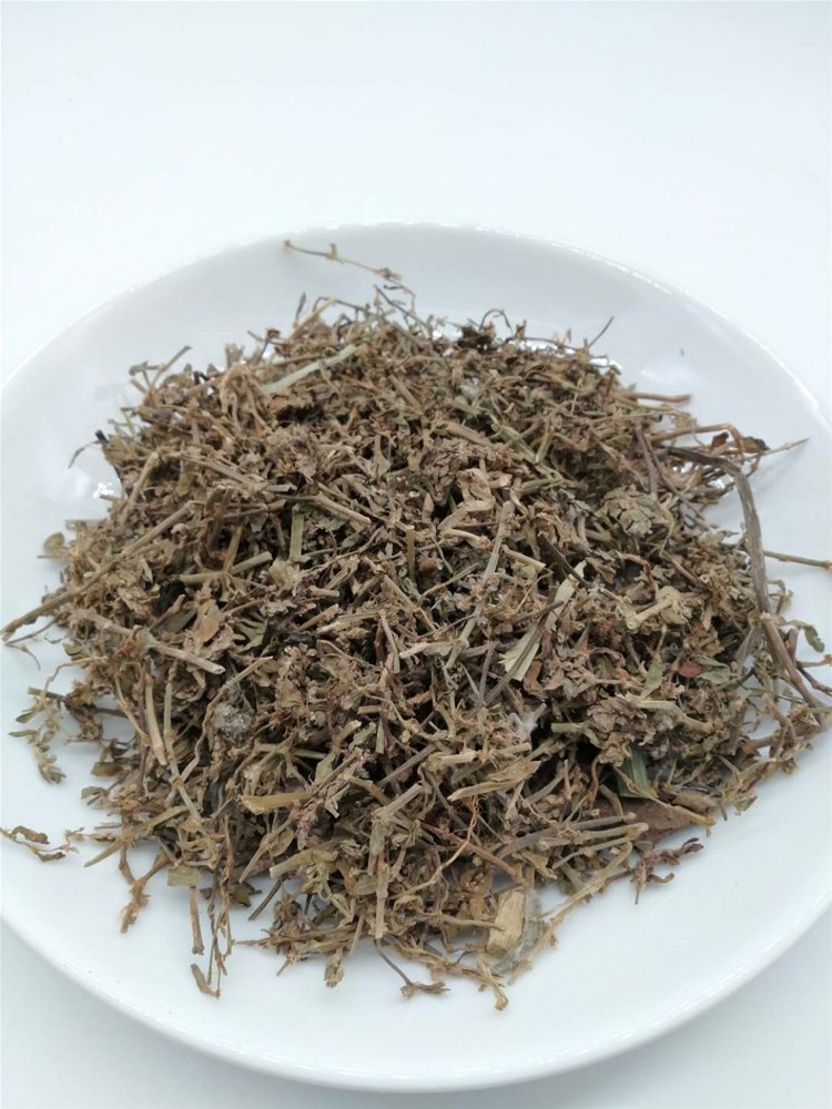 萹蓄1.jpg
