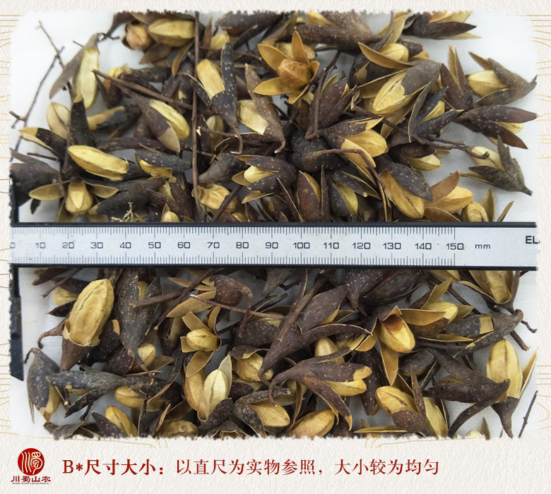 cstcssnchangchunhuahuaduo09.jpg