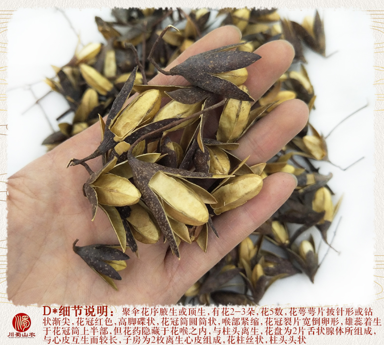 cstcssnchangchunhuahuaduo011.jpg