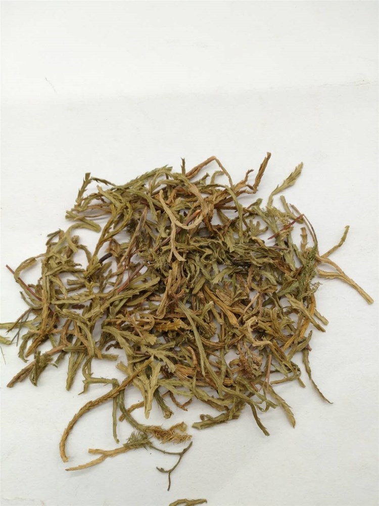 舒筋草3.jpg