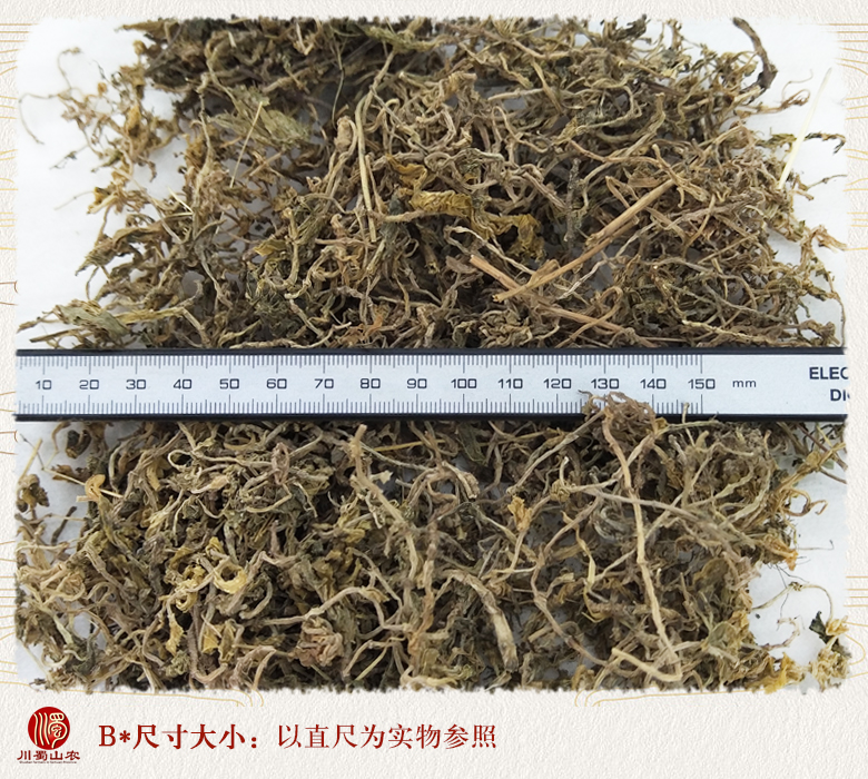 cstcssnchuipencaotonghuo09.jpg