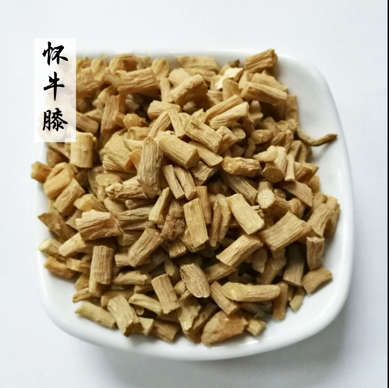 1613367096(1).png