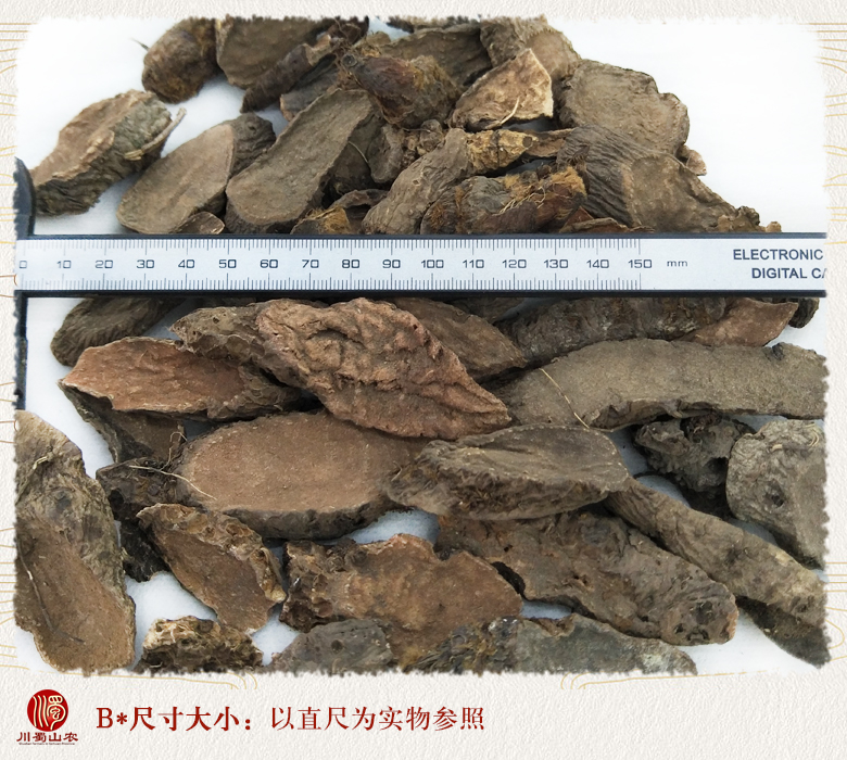 cstcssnyanhuangliangenpian09.jpg