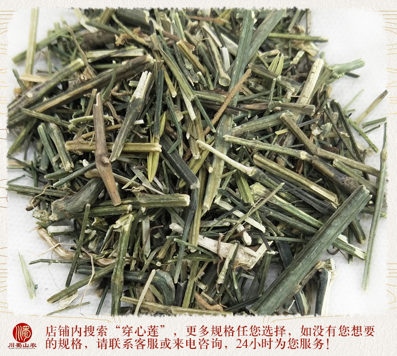 cstcssnchuanxinliancaoduan012.jpg
