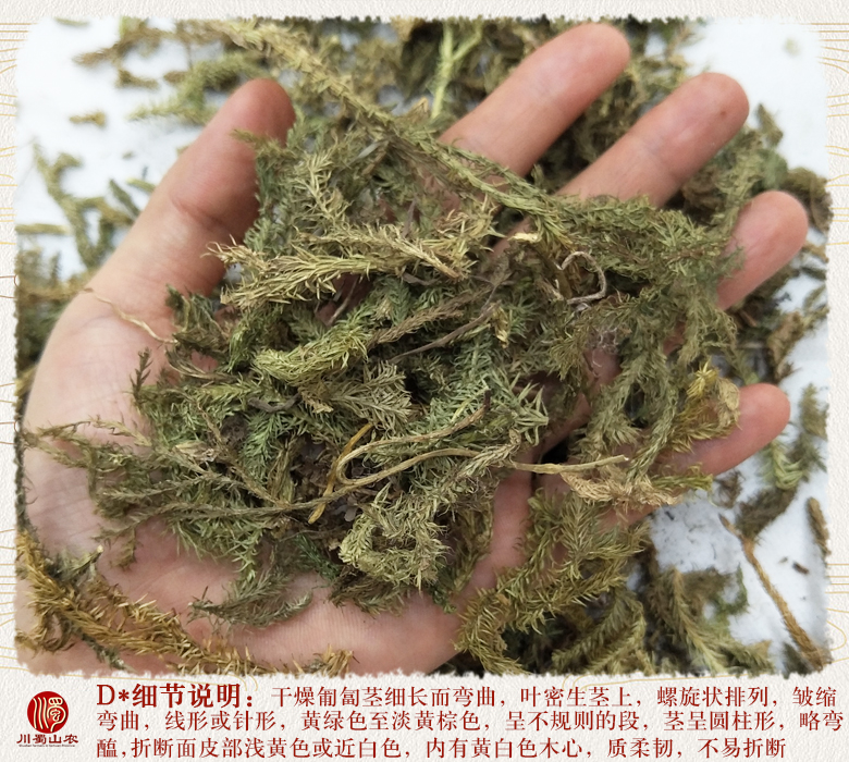 cstcssnshenjincao011.jpg