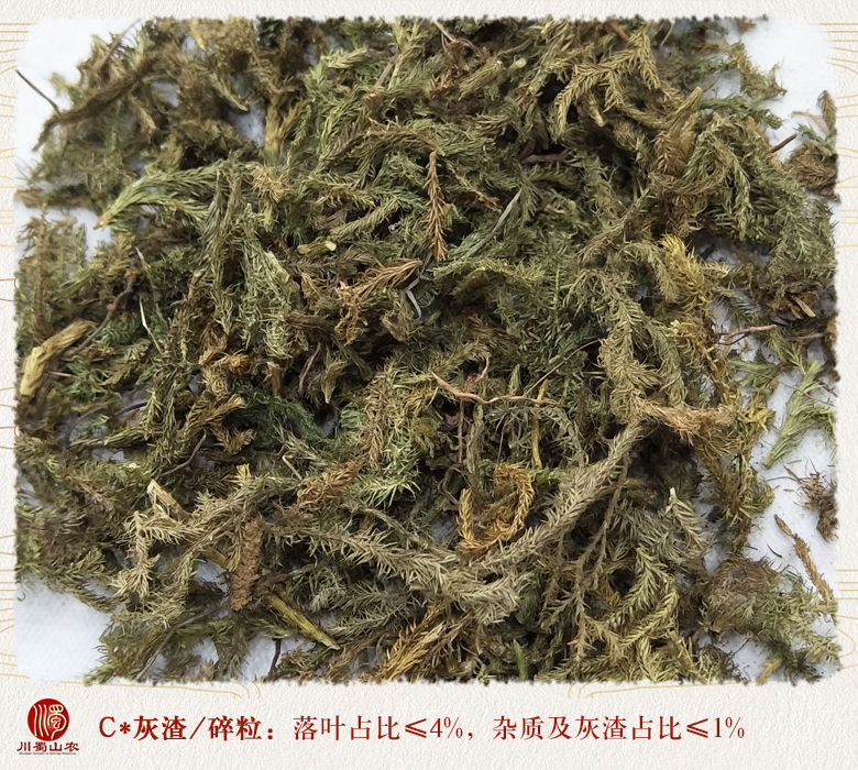 cstcssnshenjincao06.jpg