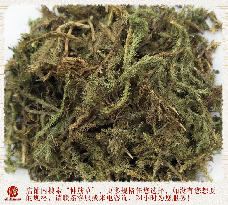 cstcssnshenjincao08.jpg