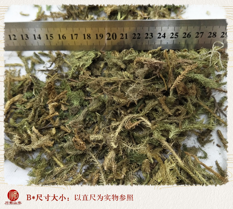 cstcssnshenjincao09.jpg