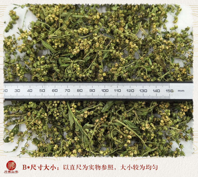cstcssnganhuangcaohuaxuanhuo09.jpg