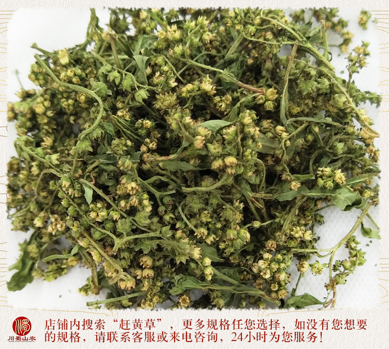 cstcssnganhuangcaohuaxuanhuo011.jpg