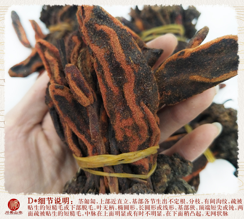 cstcssnhuichuncaozhengzhuxiaogetonghuo09.jpg