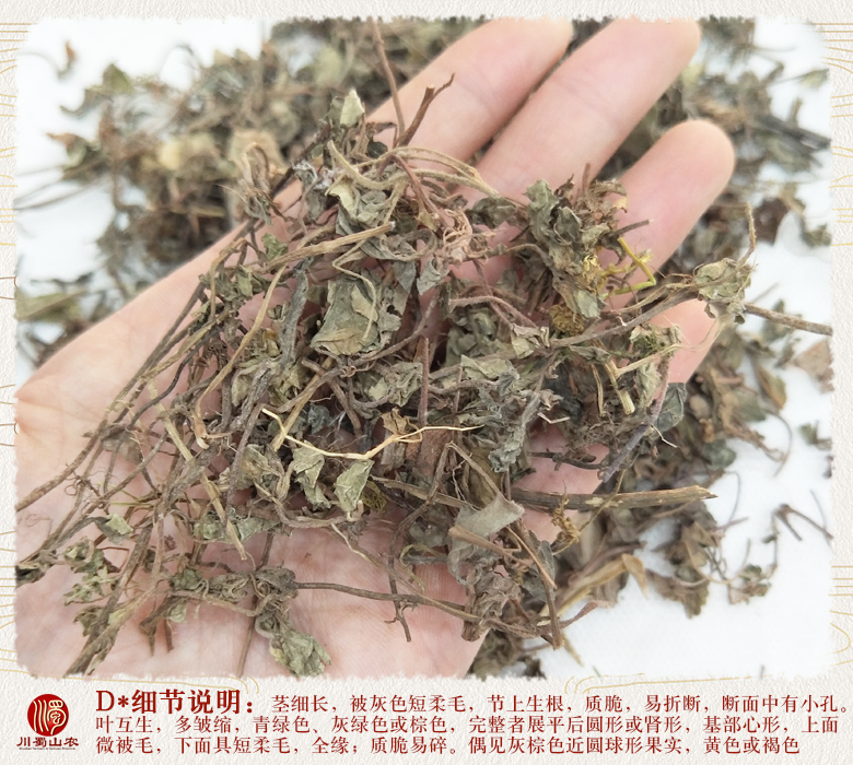 cstcssnxiaoyejinqiancaotonghuo012.jpg